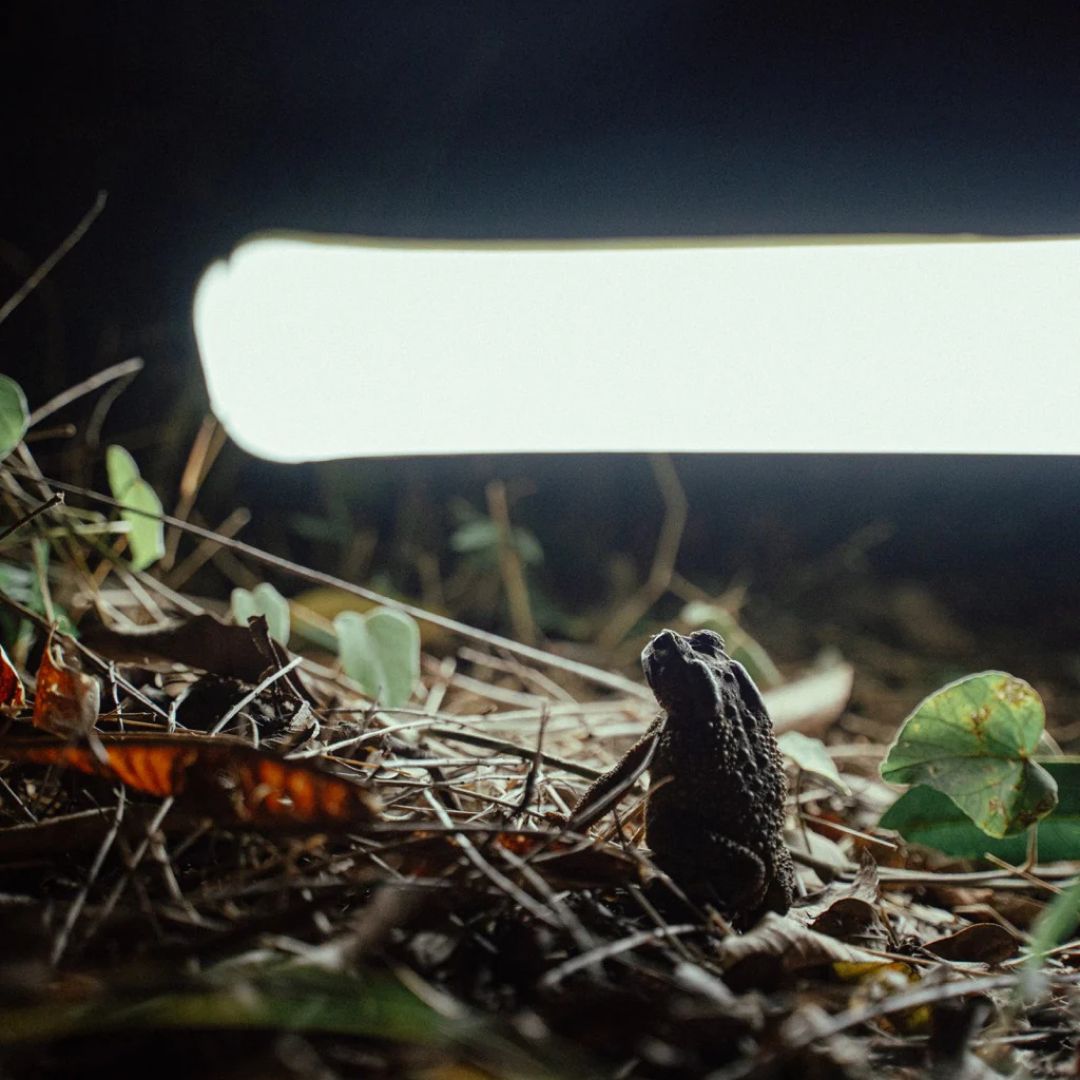 OxyGlo - The Ultimate All in One Light
