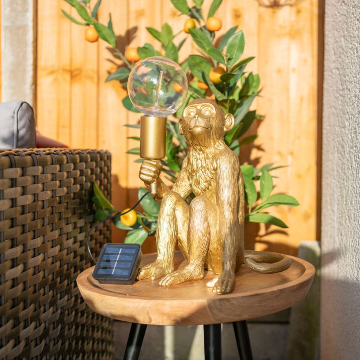 SunChaser Monkey Solar Light