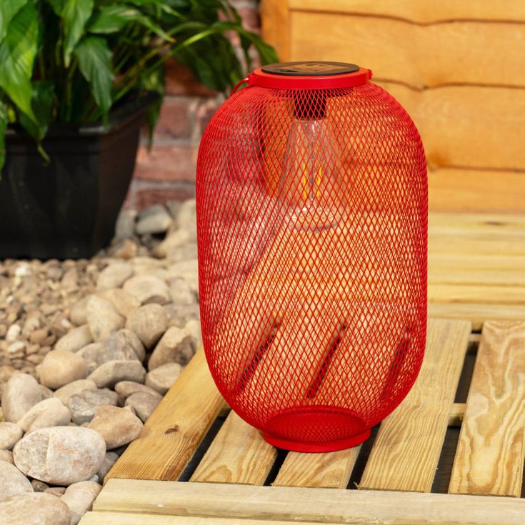 SolarMesh Colour Lantern