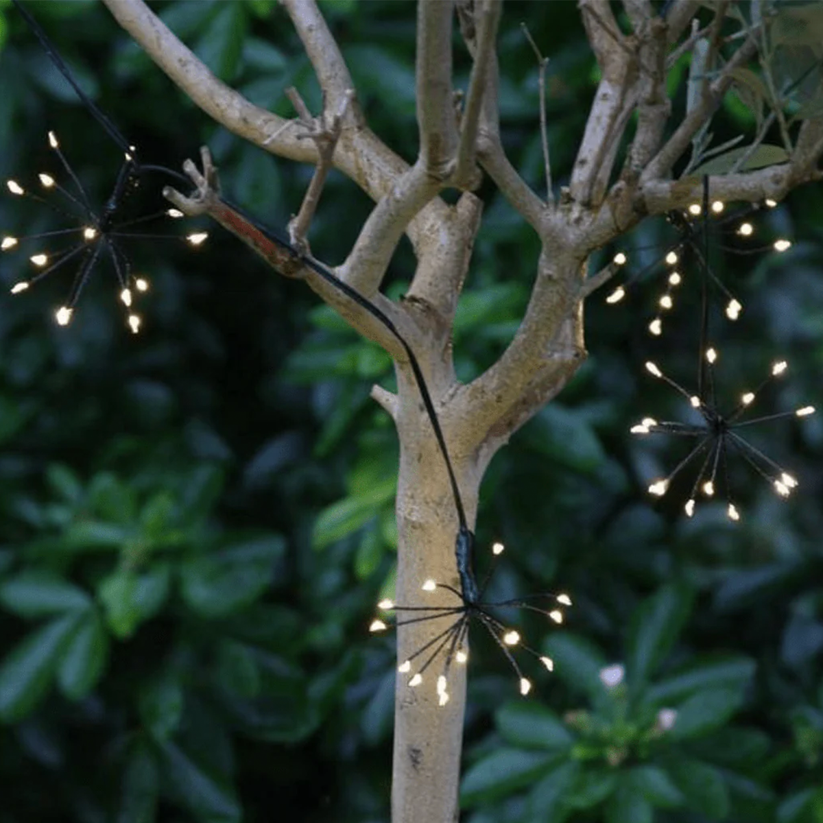 NoirBurst – Outdoor Starburst Fairy Lights