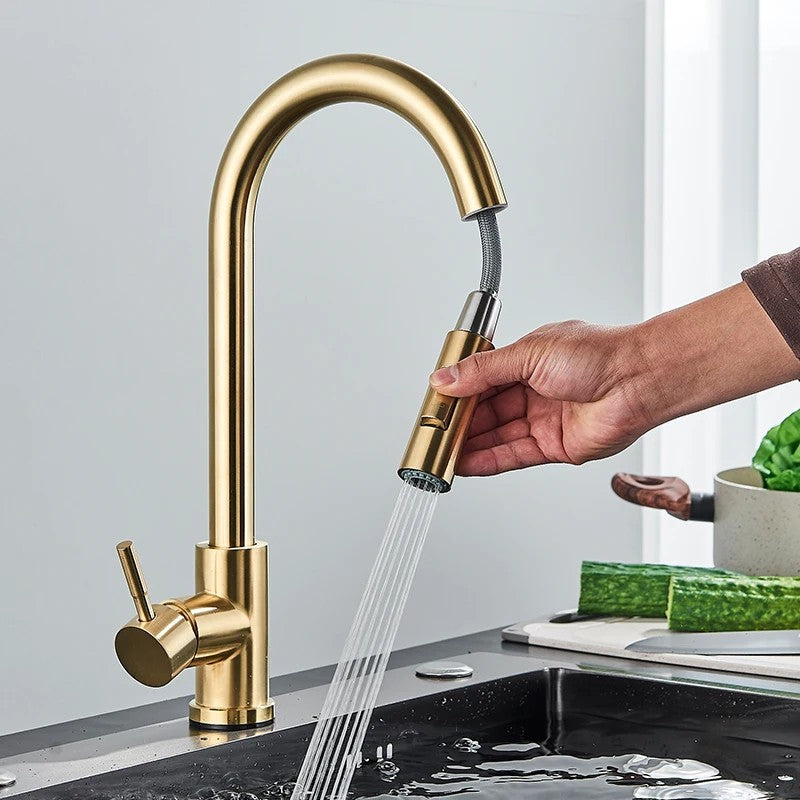 LuxeFlow Kitchen Faucet