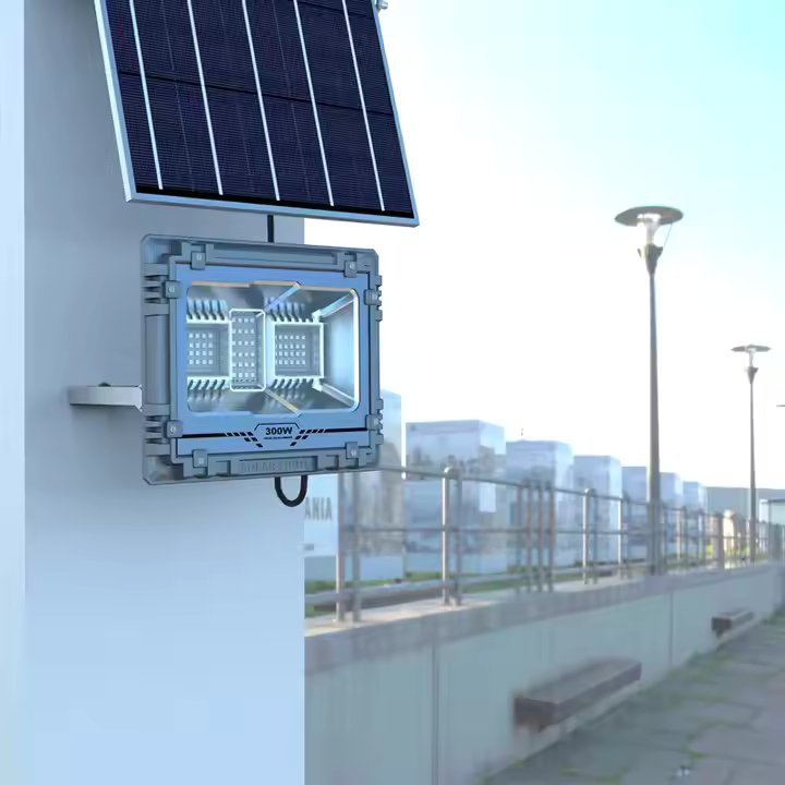 100W Solar Floodlight (Clearance Sale)