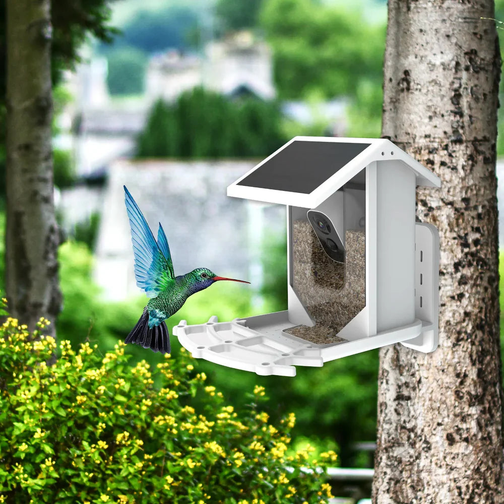 BirdView Solar Feeder – Smart Bird Camera with AI Recognition