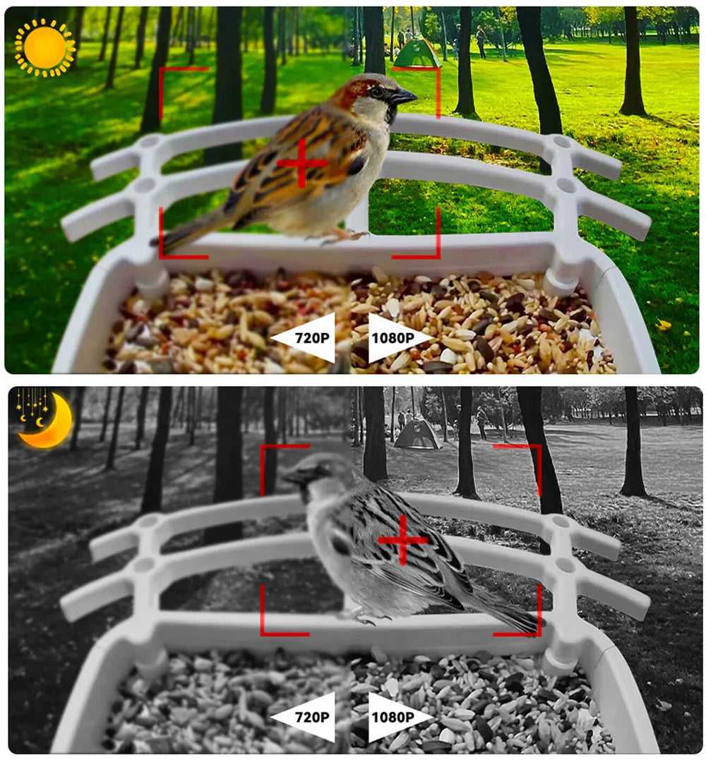BirdView Solar Feeder – Smart Bird Camera with AI Recognition